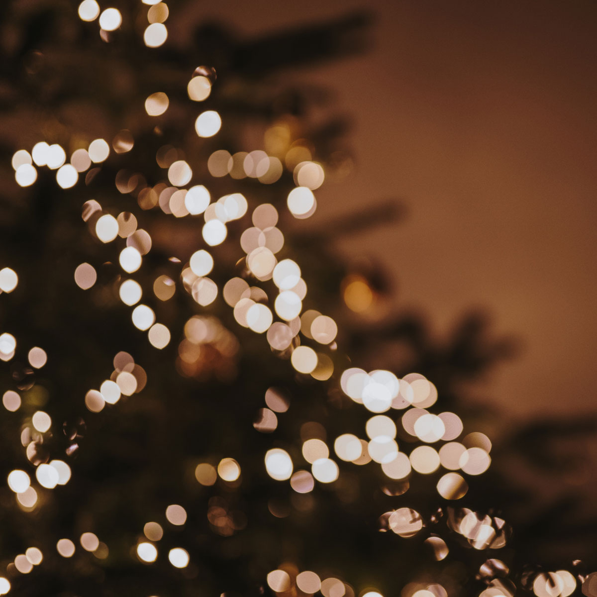 ACFA Saint-Paul – Spectacle de Noël 