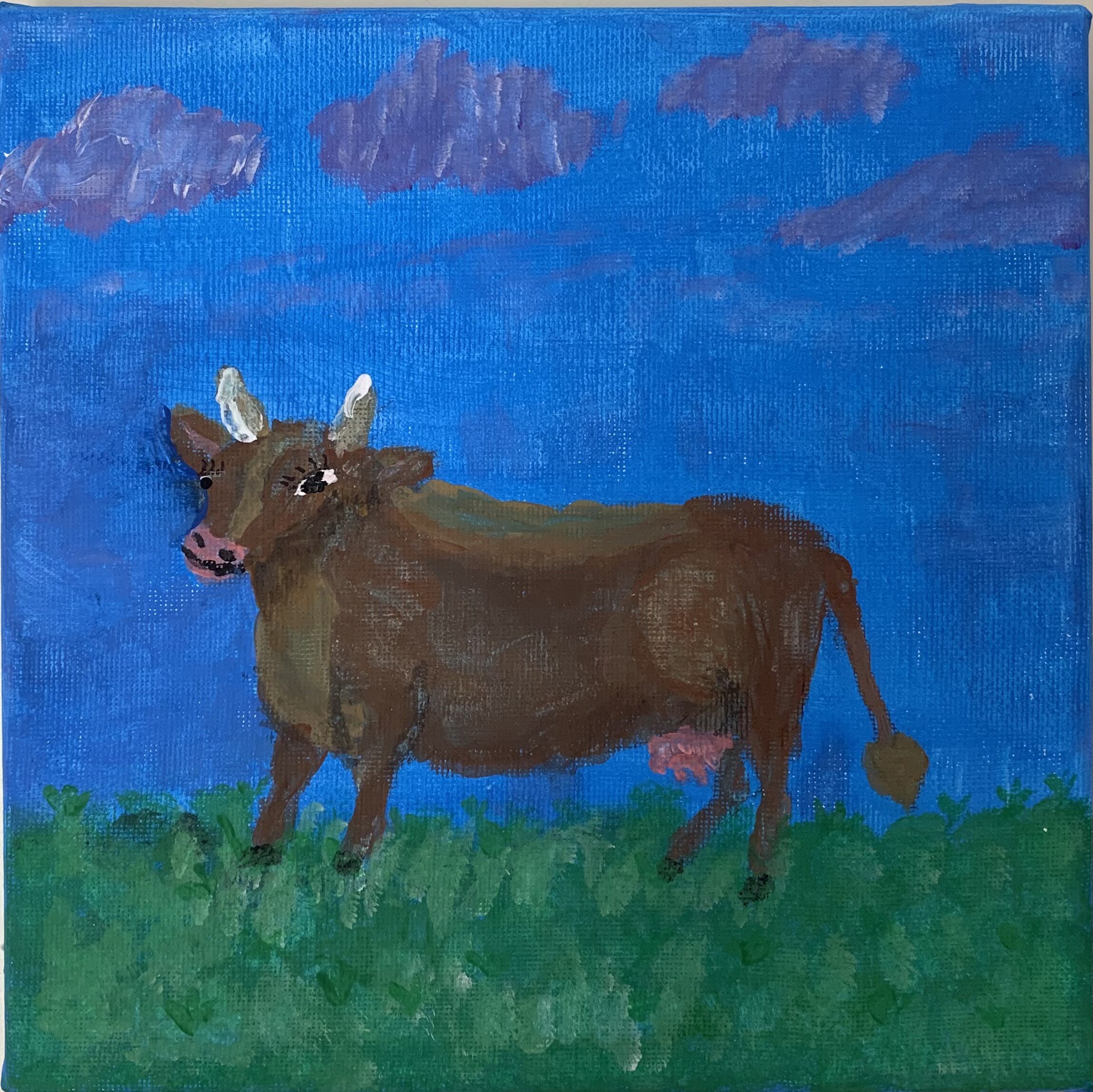 La vache souvenir - Région de Centralta